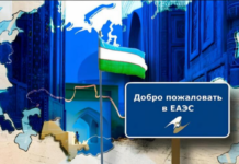 Узбекистан: какие преимущества стране даст постоянное членство в ЕАЭС