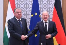 Эмомали Рахмон предложил Германии поддержать строительство Рогунской ГЭС