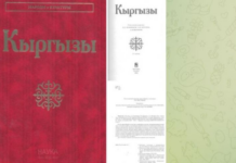 О «Кыргызах» и не только: стало известно, кто продвигает антироссийскую повестку в странах Центральной Азии
