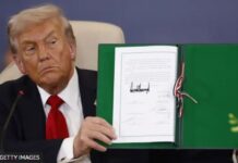 Совбез ООН проголосовал за мирный план Трампа по Газе: Россия и Китай воздержались