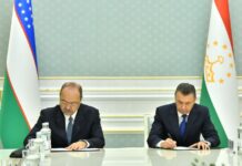 Таджикистан и Узбекистан договорились увеличить взаимную торговлю до $2 миллиардов