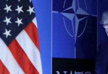 США могут лишить части союзников по НАТО права голоса