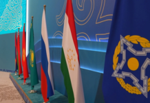 Страны ОДКБ утвердили план операции «Нелегал-2026»