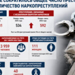 В Таджикистане сократилось общее число преступлений, но выросло количество наркопреступлений