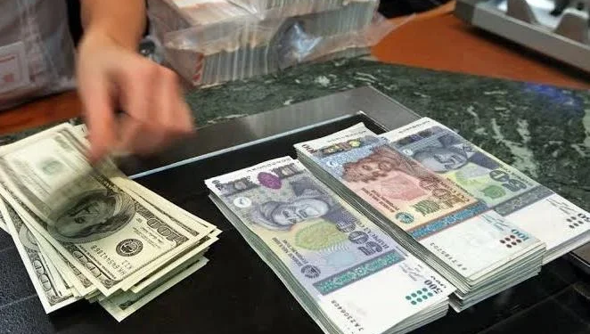 mvd-tadzhikistana-soobshhilo-o-dvuh-sluchajah-moshennichestva-s-ushherbom-v-desjatki-tysjach-dollarov-i-somoni-31d9c49.webp