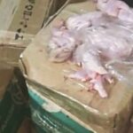 В Душанбе изъяли 176 кг опасного перепелиного мяса