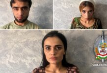 В Вахдате и Шахритусе граждан привлекли к ответственности за видео с нецензурщиной и порнографию
