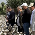 Таджикские специалисты изучили инновационные технологии хлопководства в Китае