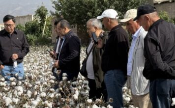 Таджикские специалисты изучили инновационные технологии хлопководства в Китае